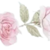 🌸