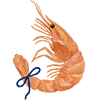 🦐