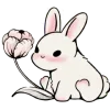 🐰