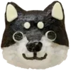 🐶