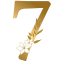 7️⃣