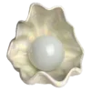 🐚