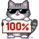 💯