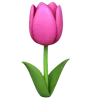 🌺