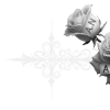 🌹
