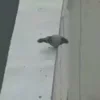 🙁
