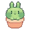 🐰