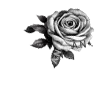 🌹