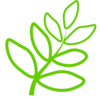 🌿