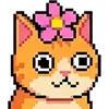 🌺