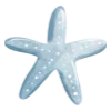 ⭐️