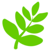 🌿
