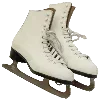 ⛸️