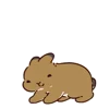 🐰