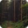 🌲