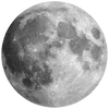 🌙
