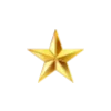 🌟