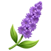 🌺