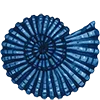 🐚