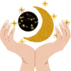 🌚