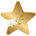 🌟