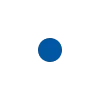 🔹