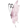🦋