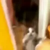 🥺