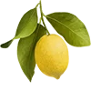 🍋