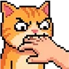 😸