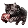 🐈‍⬛