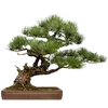 🌳