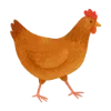 🐔