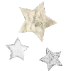 🌟