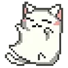 🐱