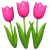 🌷