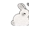 🐰