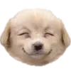 🐶