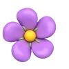 🌺