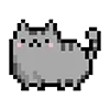 🐈