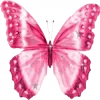 🦋