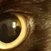 🤩