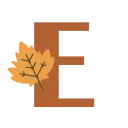 🍁