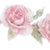 🌸