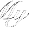 ⭐️