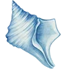 🐚