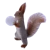 🐿