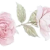 🌸