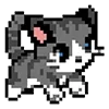 🐈