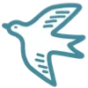🕊️